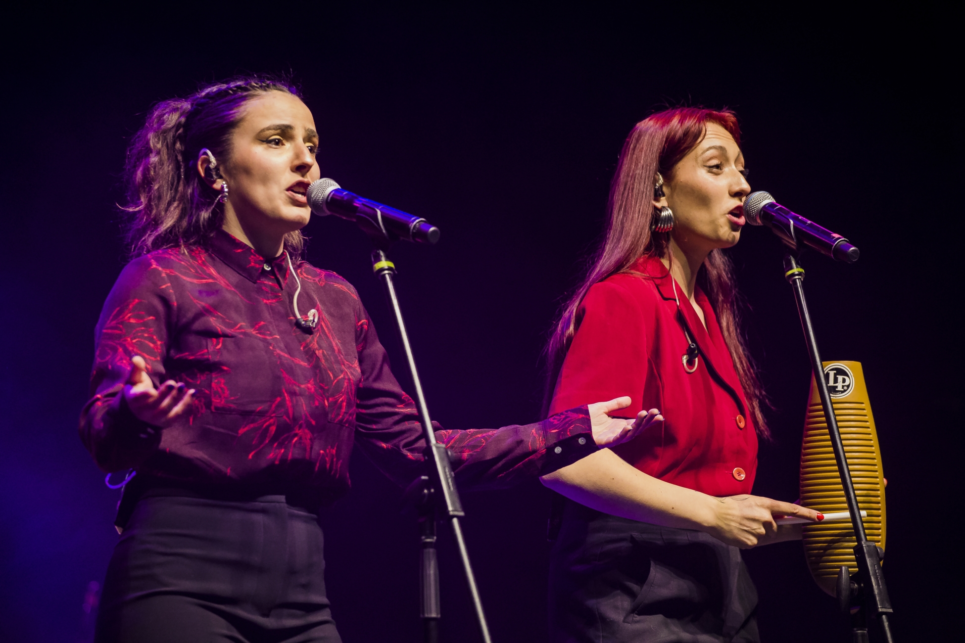 DUO PAJARITO – LA RAZON DE CANTAR