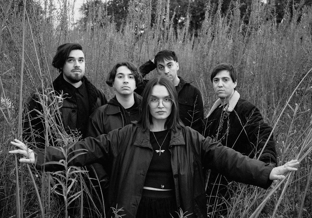 QUIVIK – DRAGON PURPURA